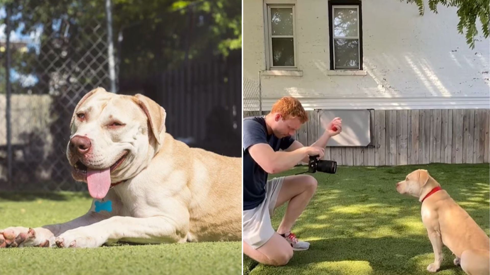 man takes photo of dog