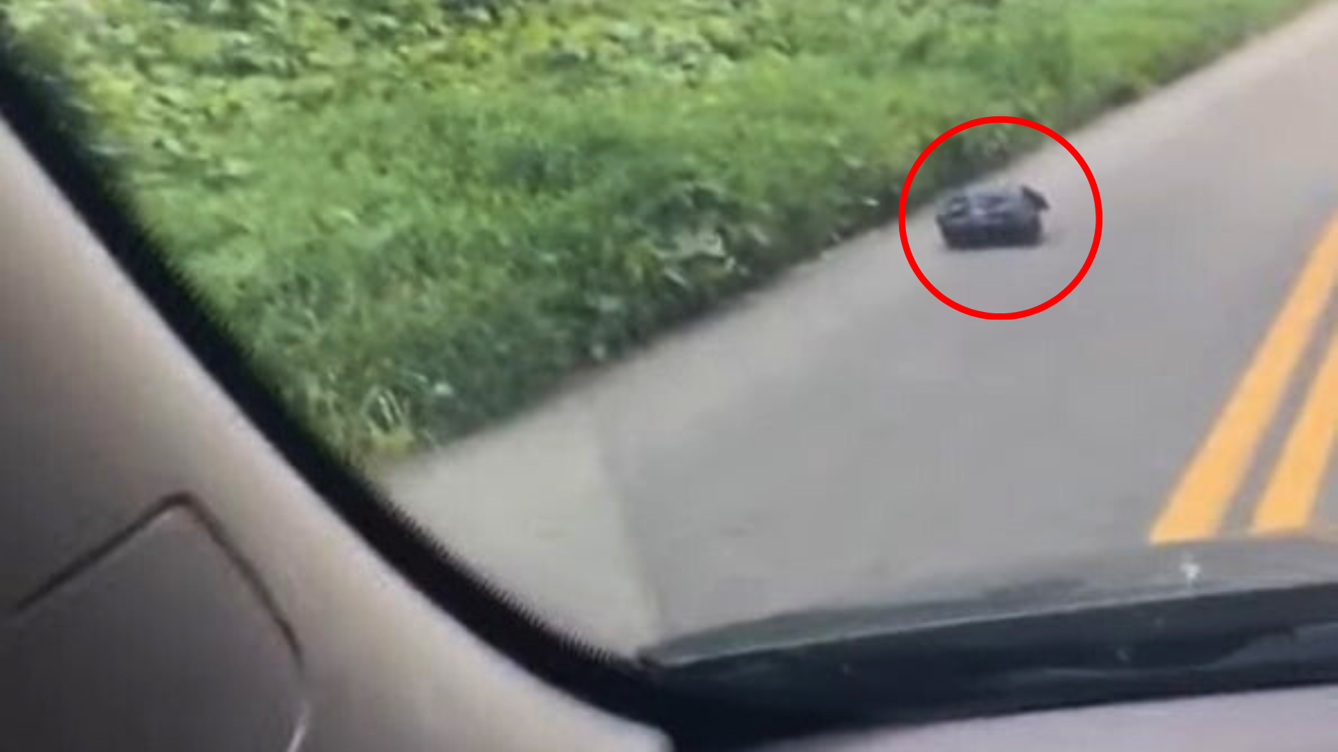 trash bag moving on road