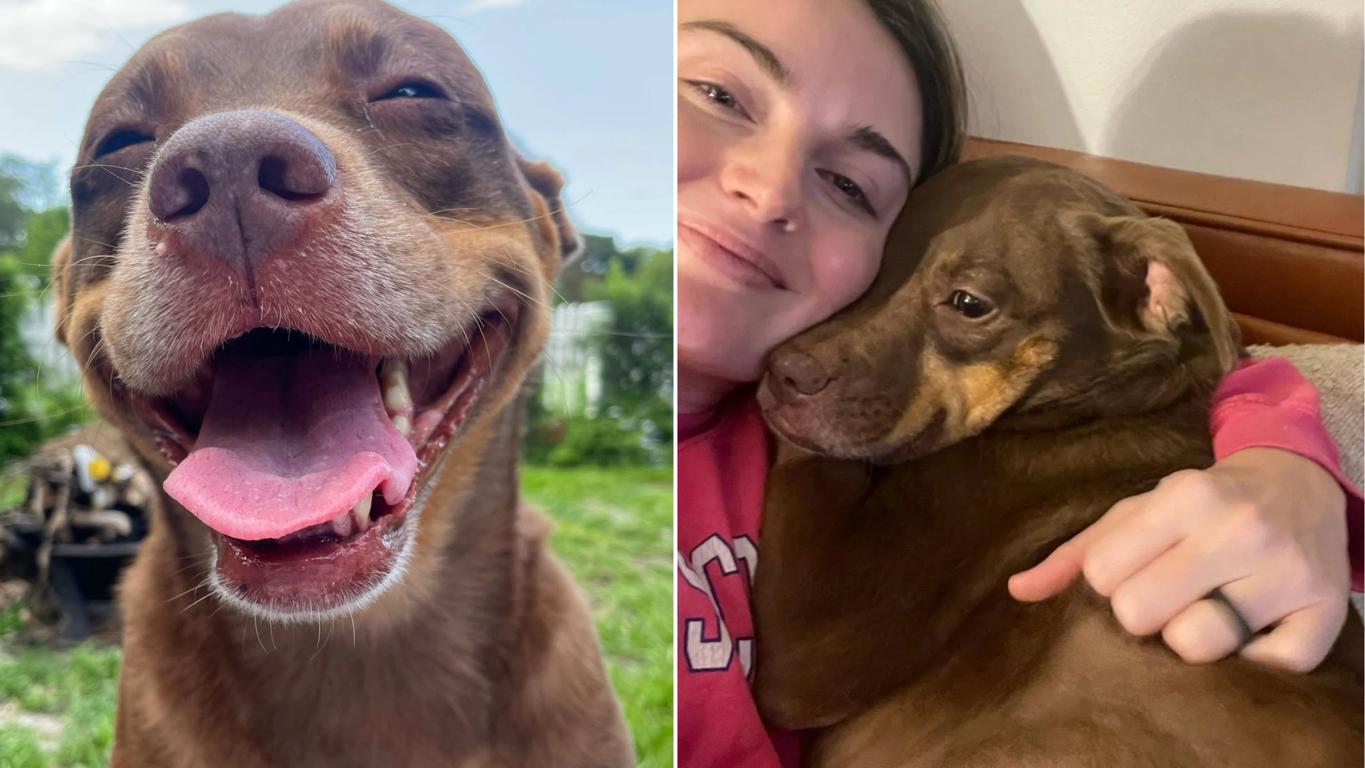 smiling dog with woman