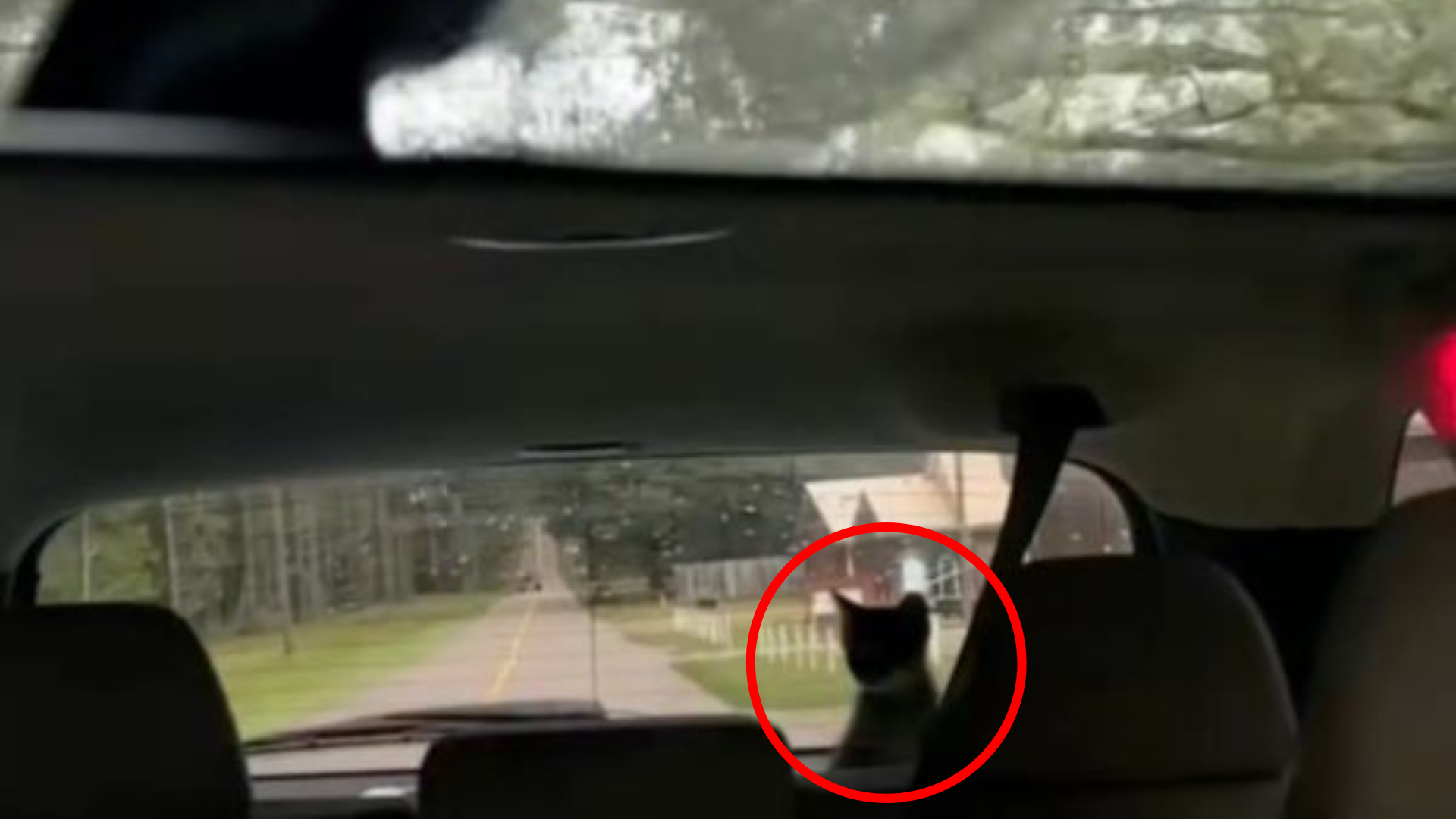 hidden passenger in car