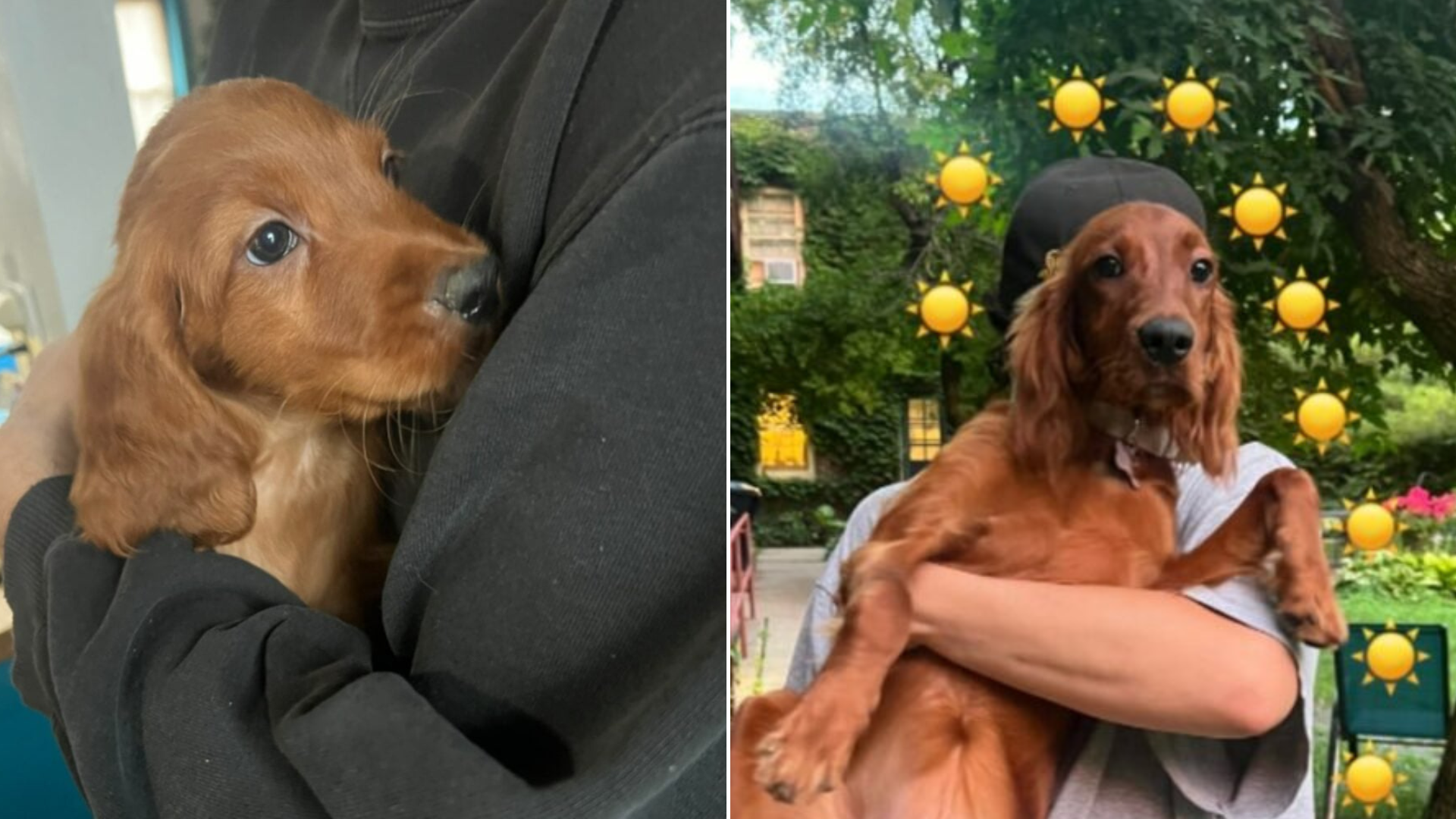woman cuddling puppy