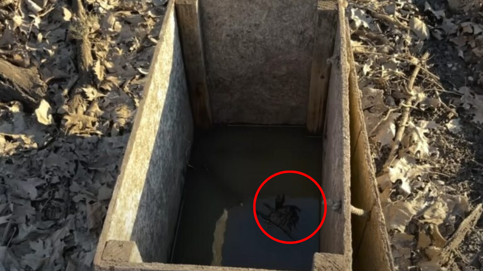 something hidden in a crate