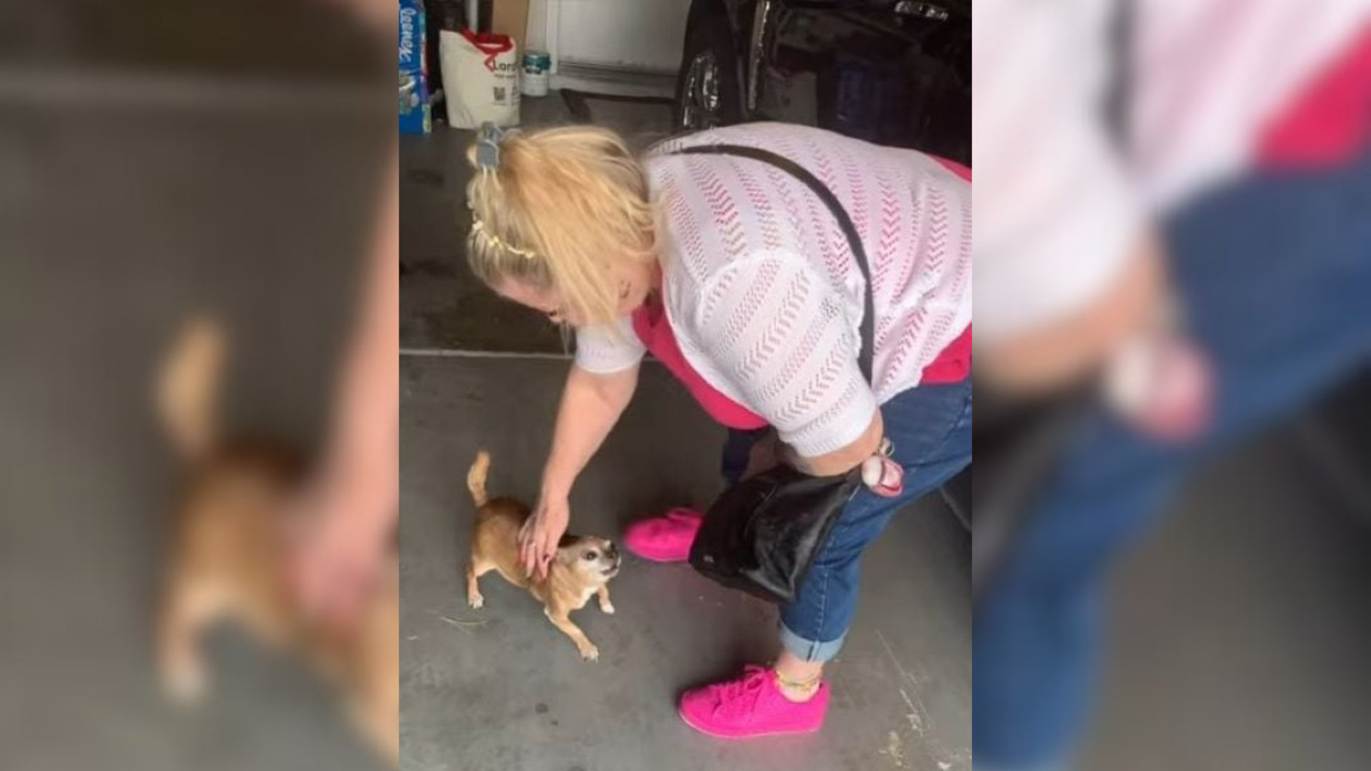 woman petting small dog