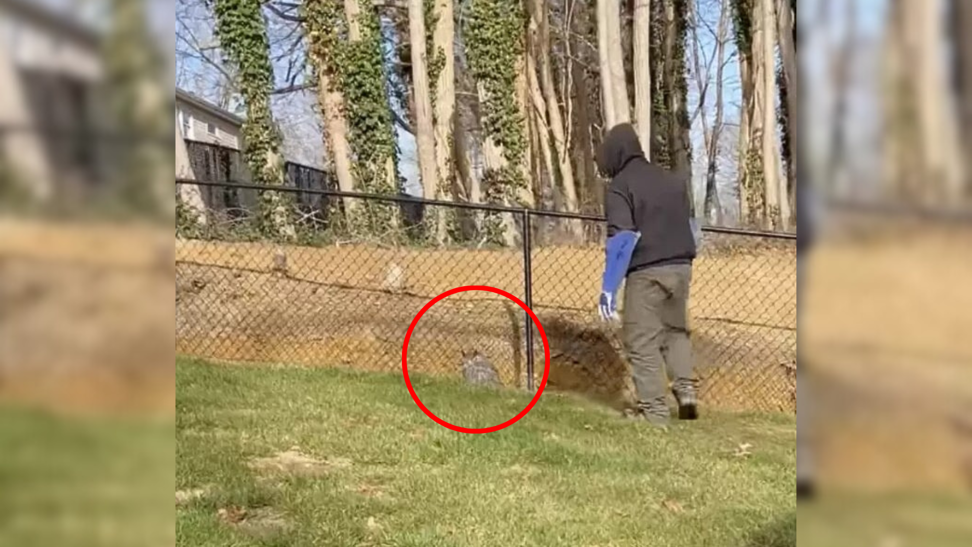 man looking at something in field