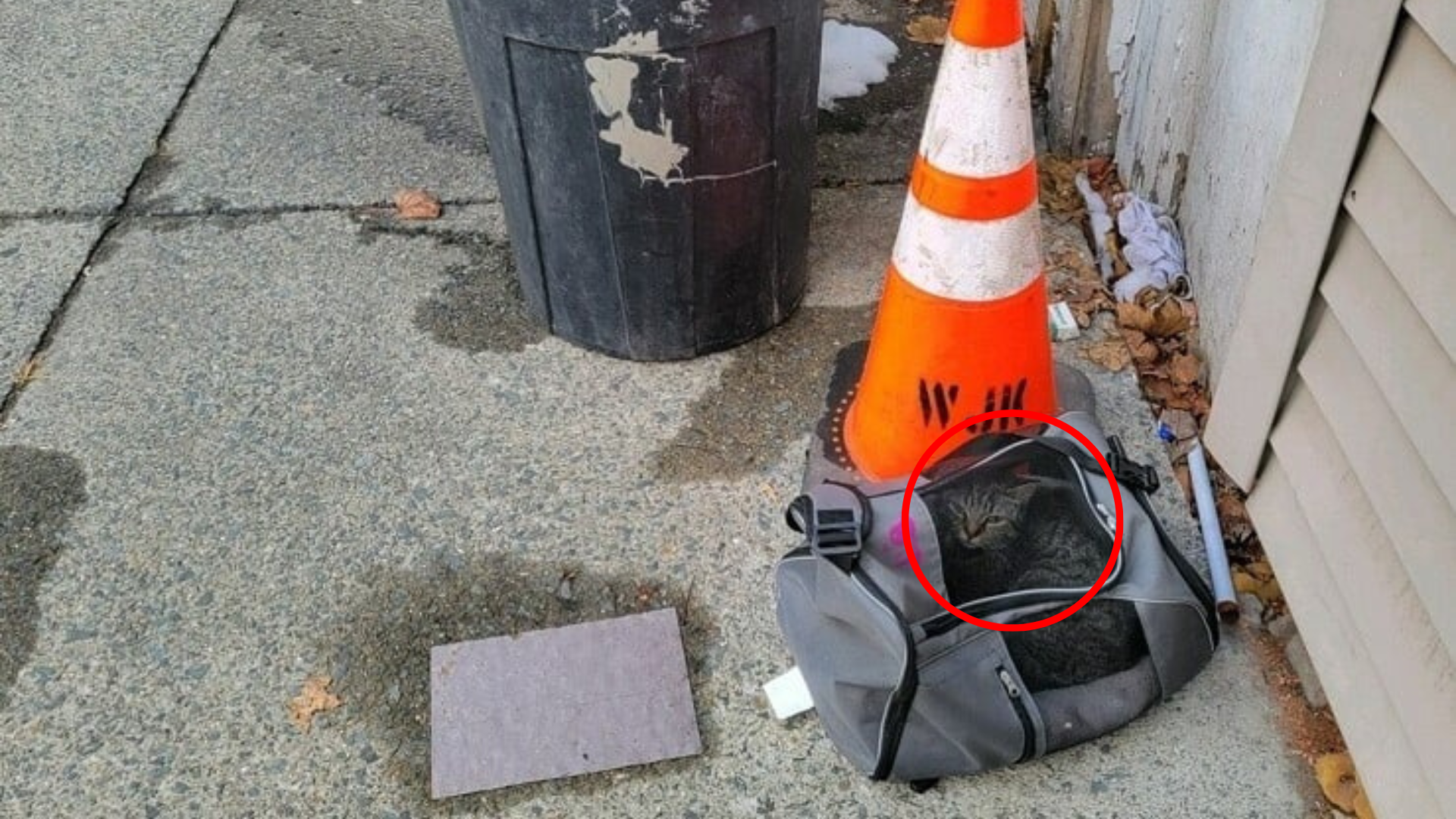 duffel on street with something inside