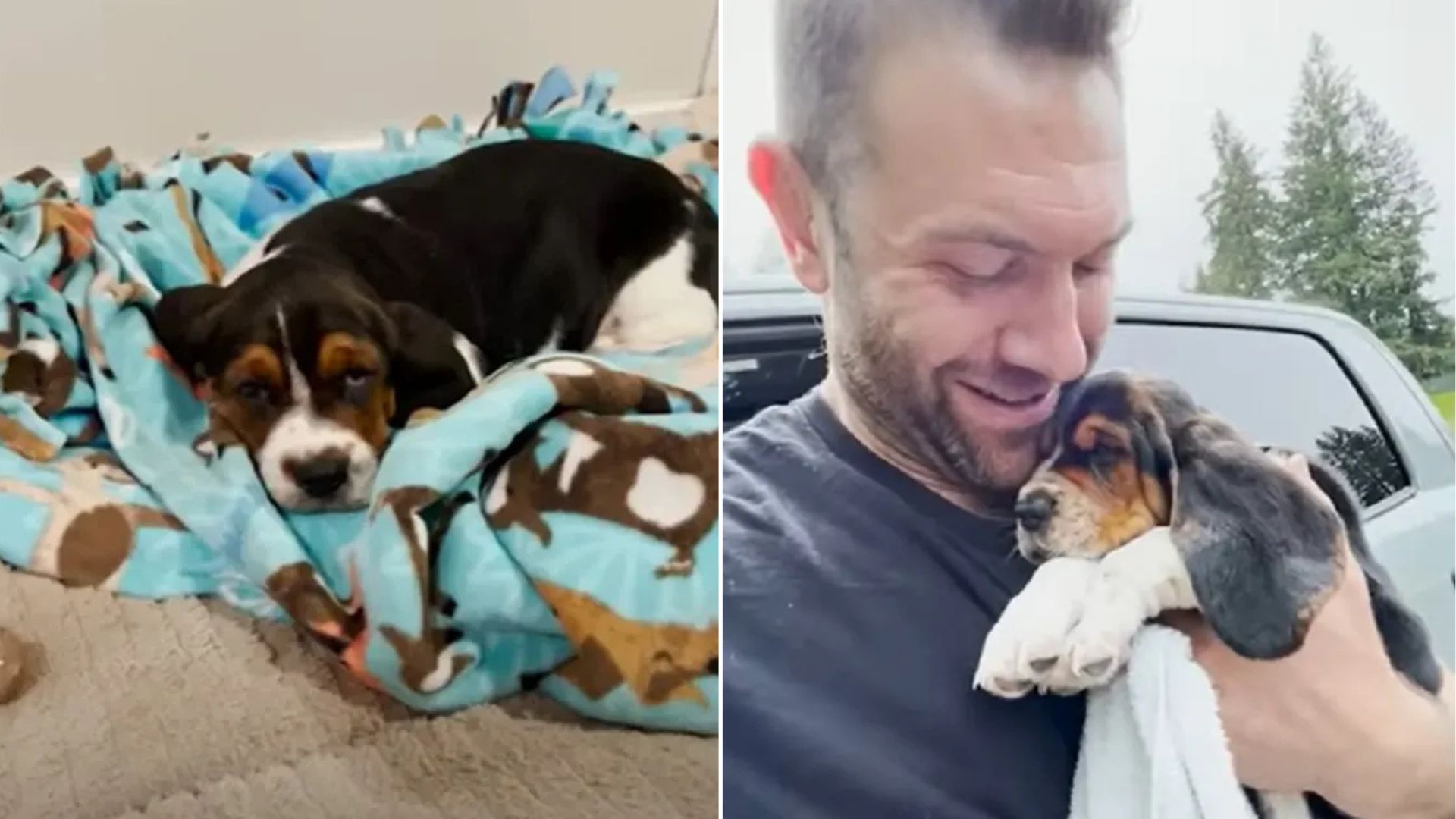 man holding a tiny dog