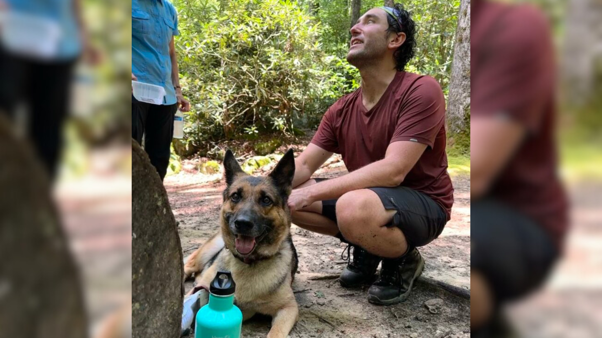 german shepherd dog with hikers