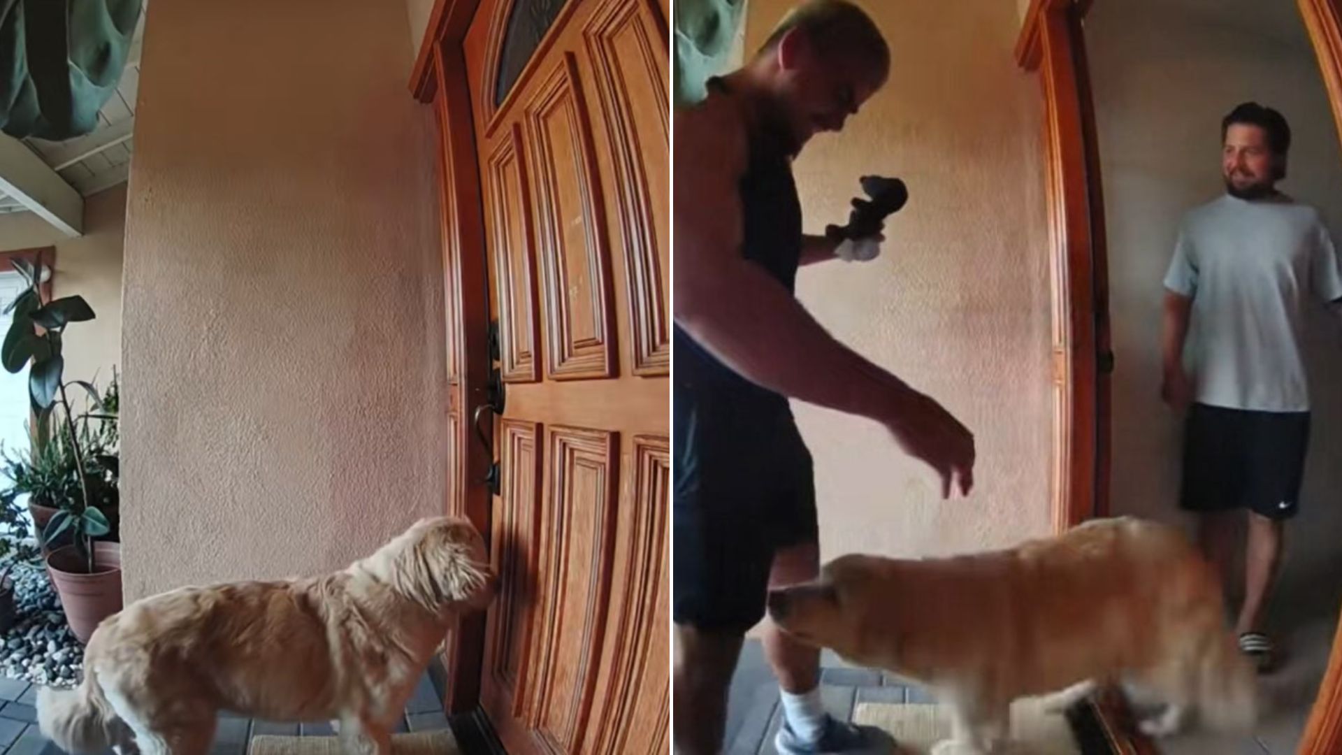 owner and dog on porch