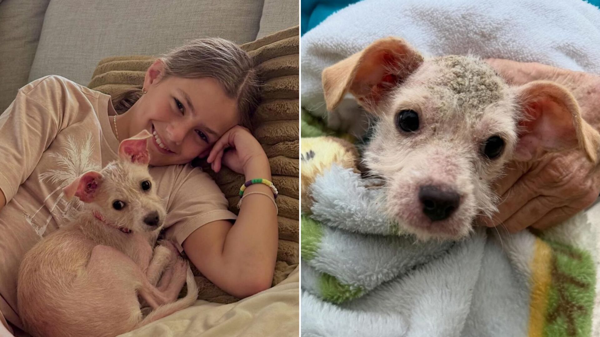 woman and little puppy