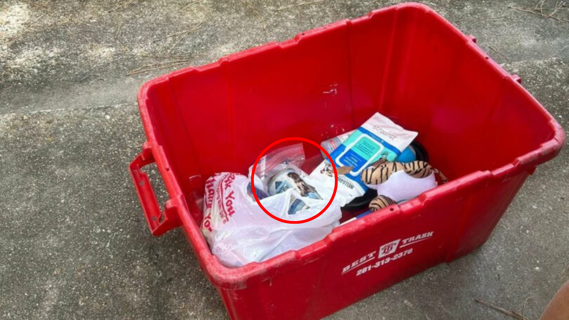 bin full of dog supplies