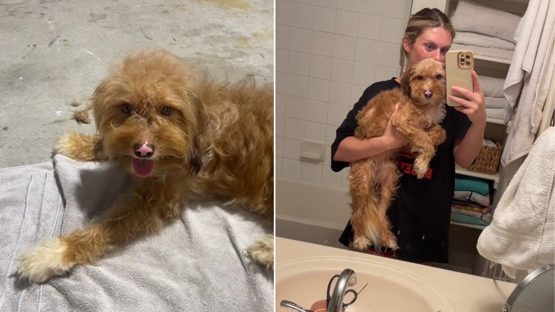 woman holding stray dog