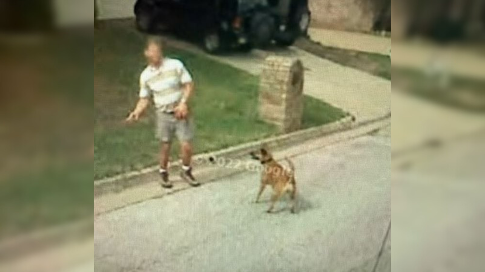 man playing with dog in the street