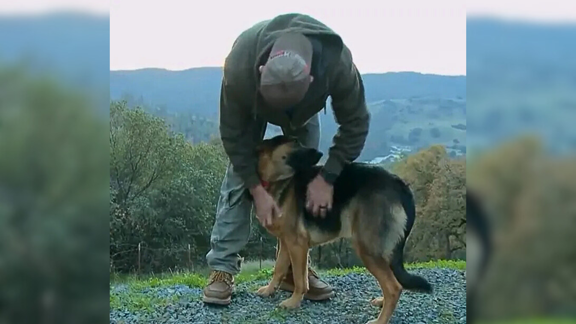man petting dog