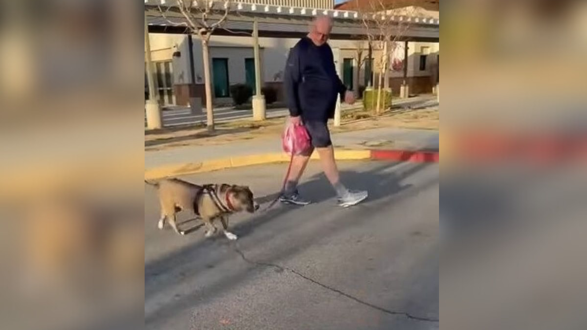 man walking dog