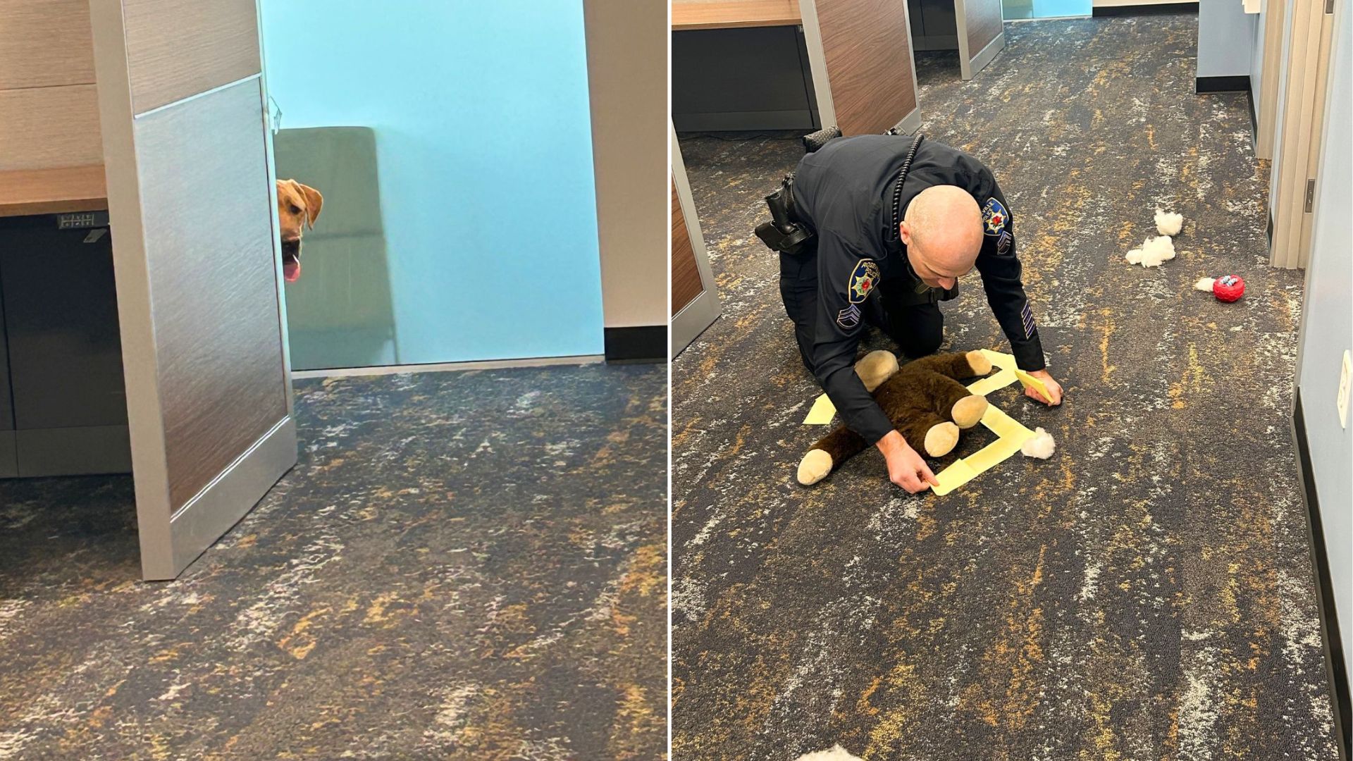 police officer in station