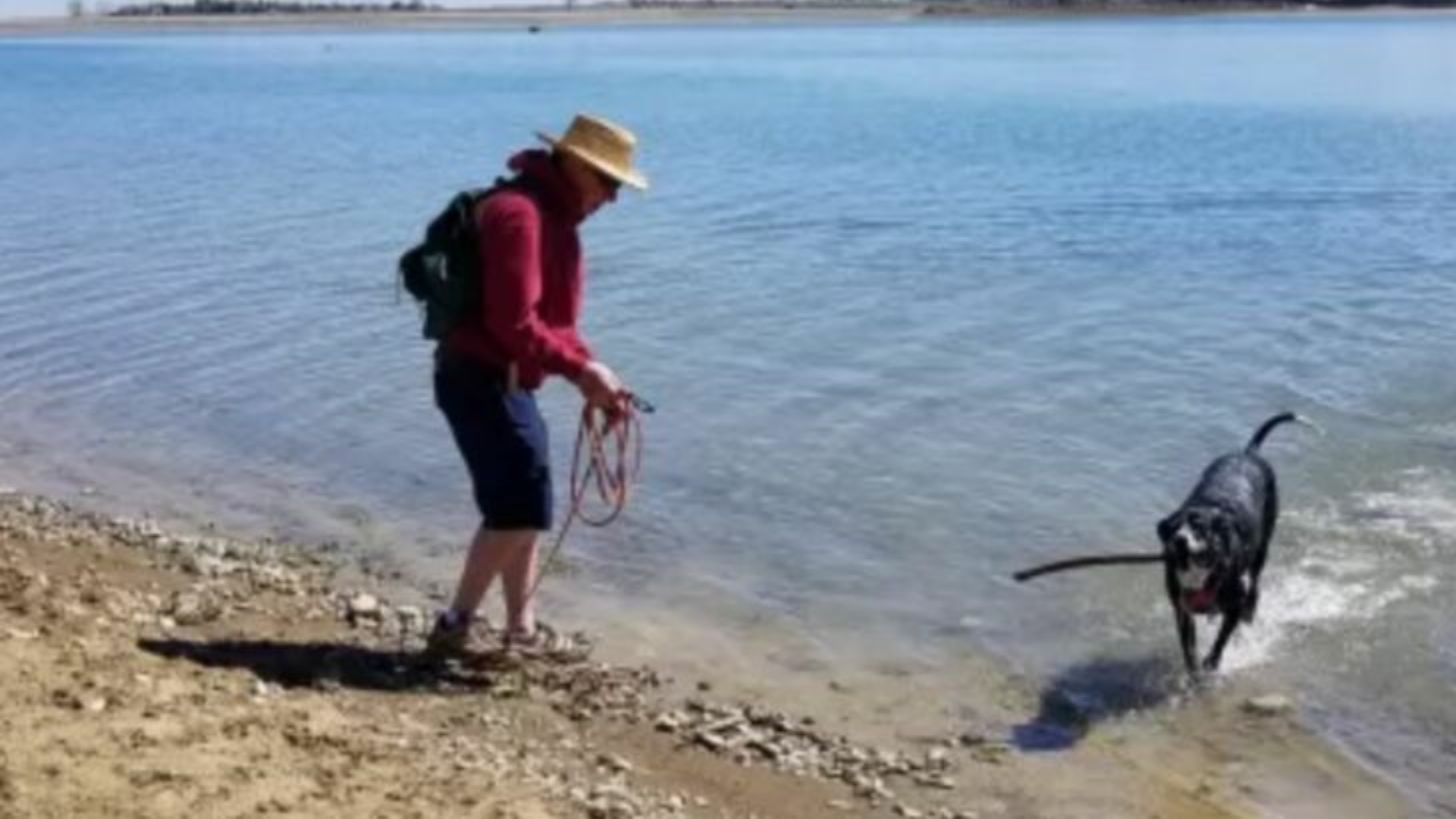 man and dog playing in lake
