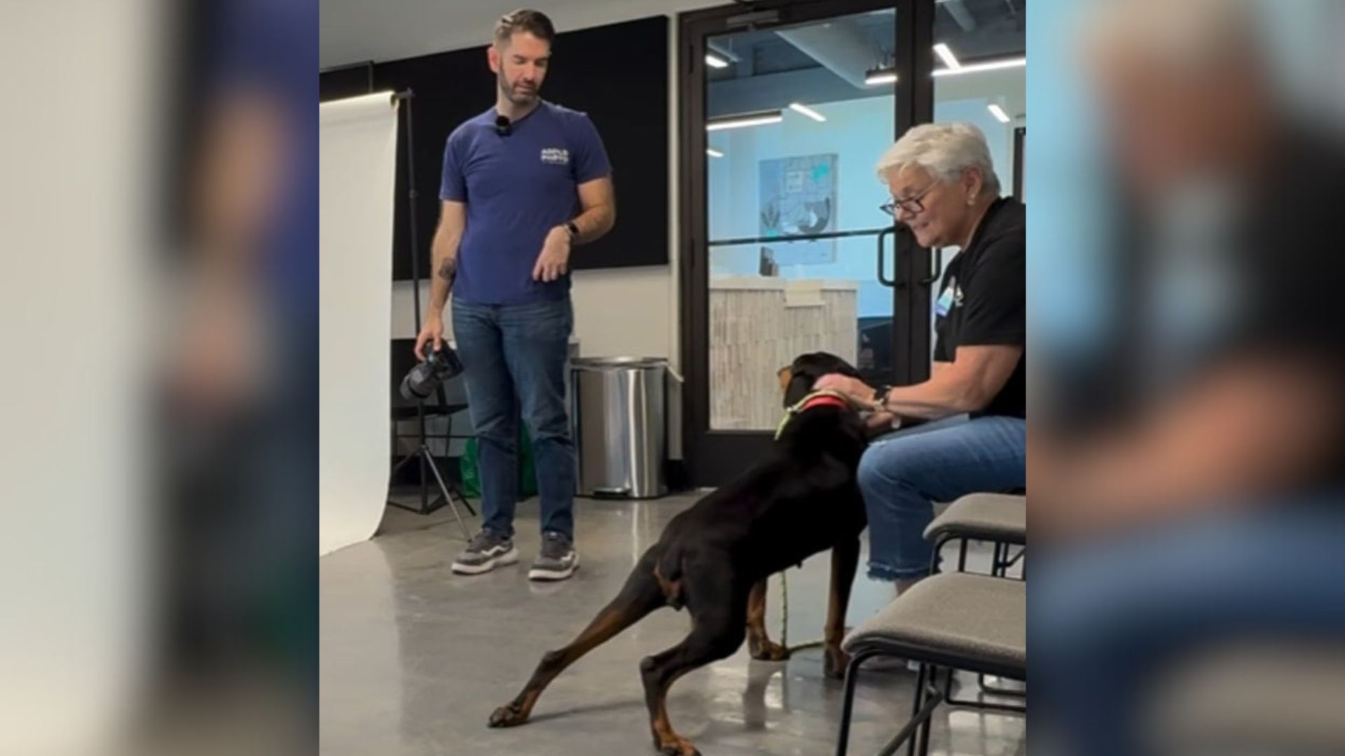 black dog and people