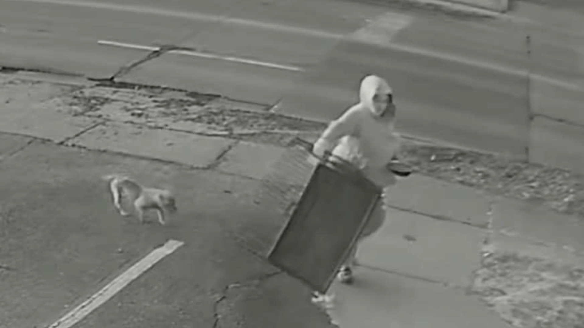 camera footage of dog and man