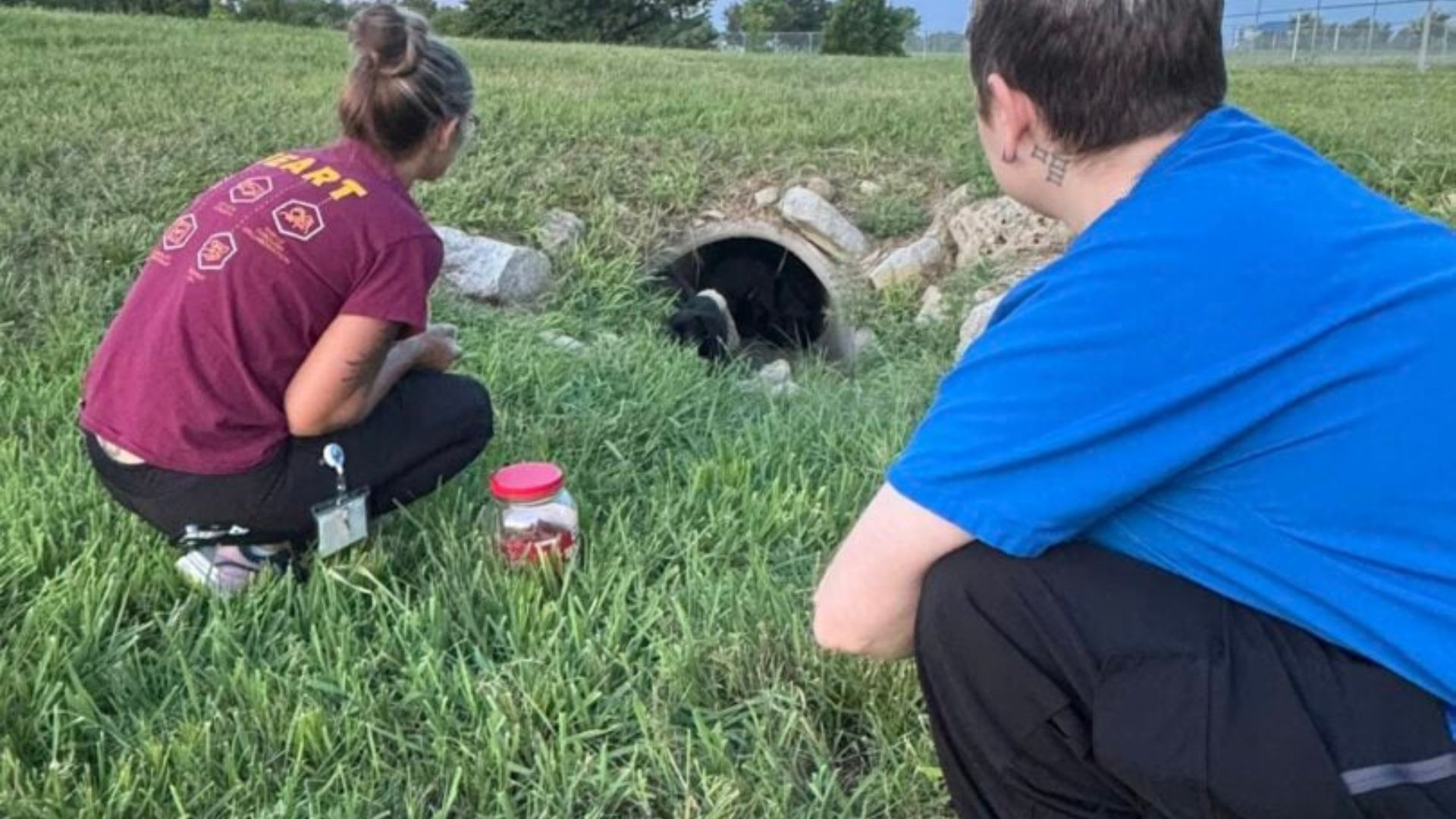 couple and dog in drain