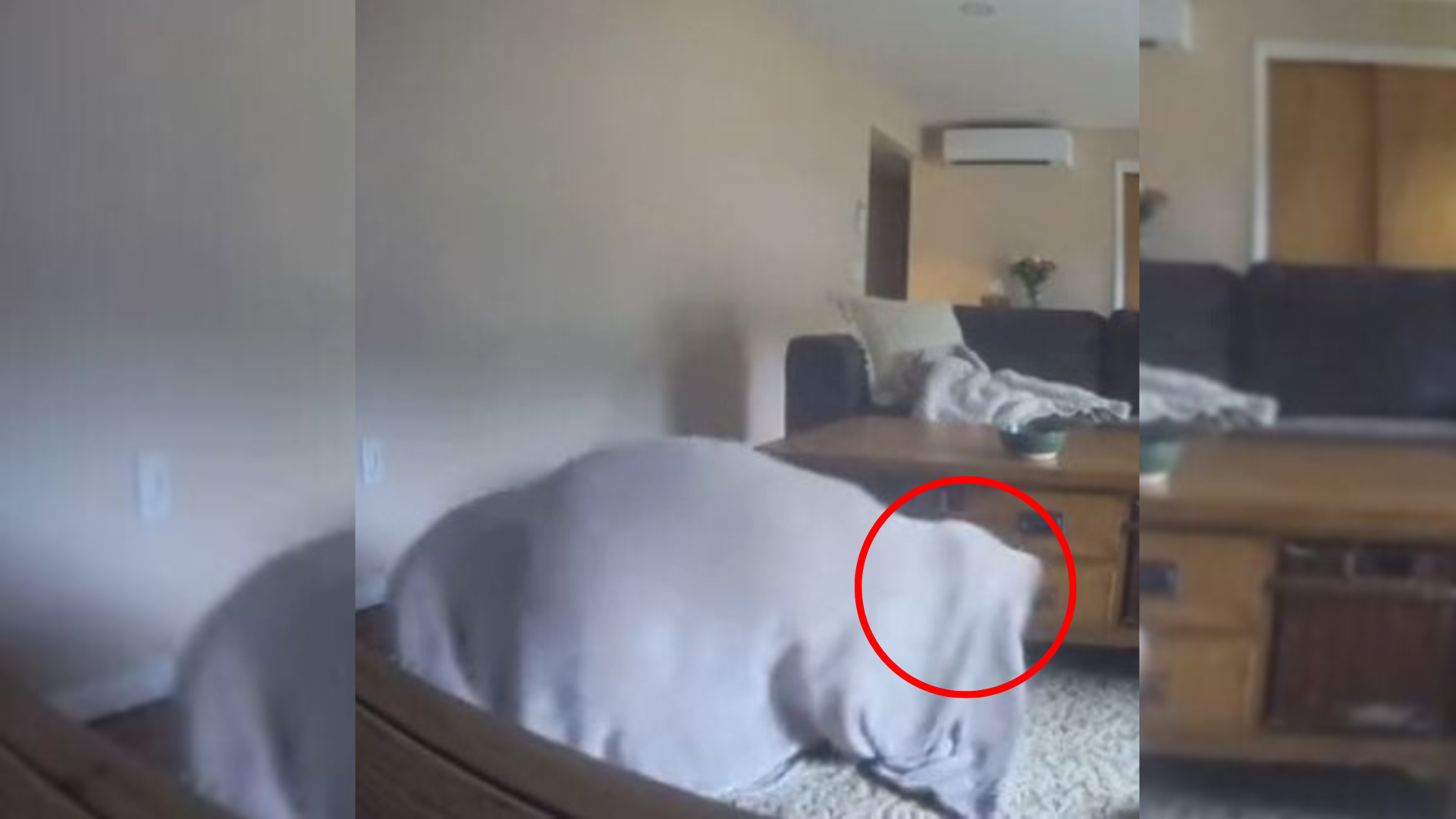 someone stuck under blanket