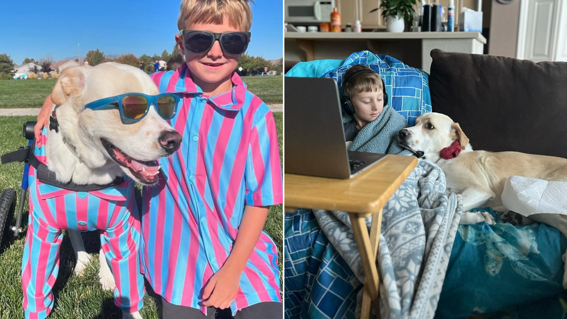 boy and dog hanging out