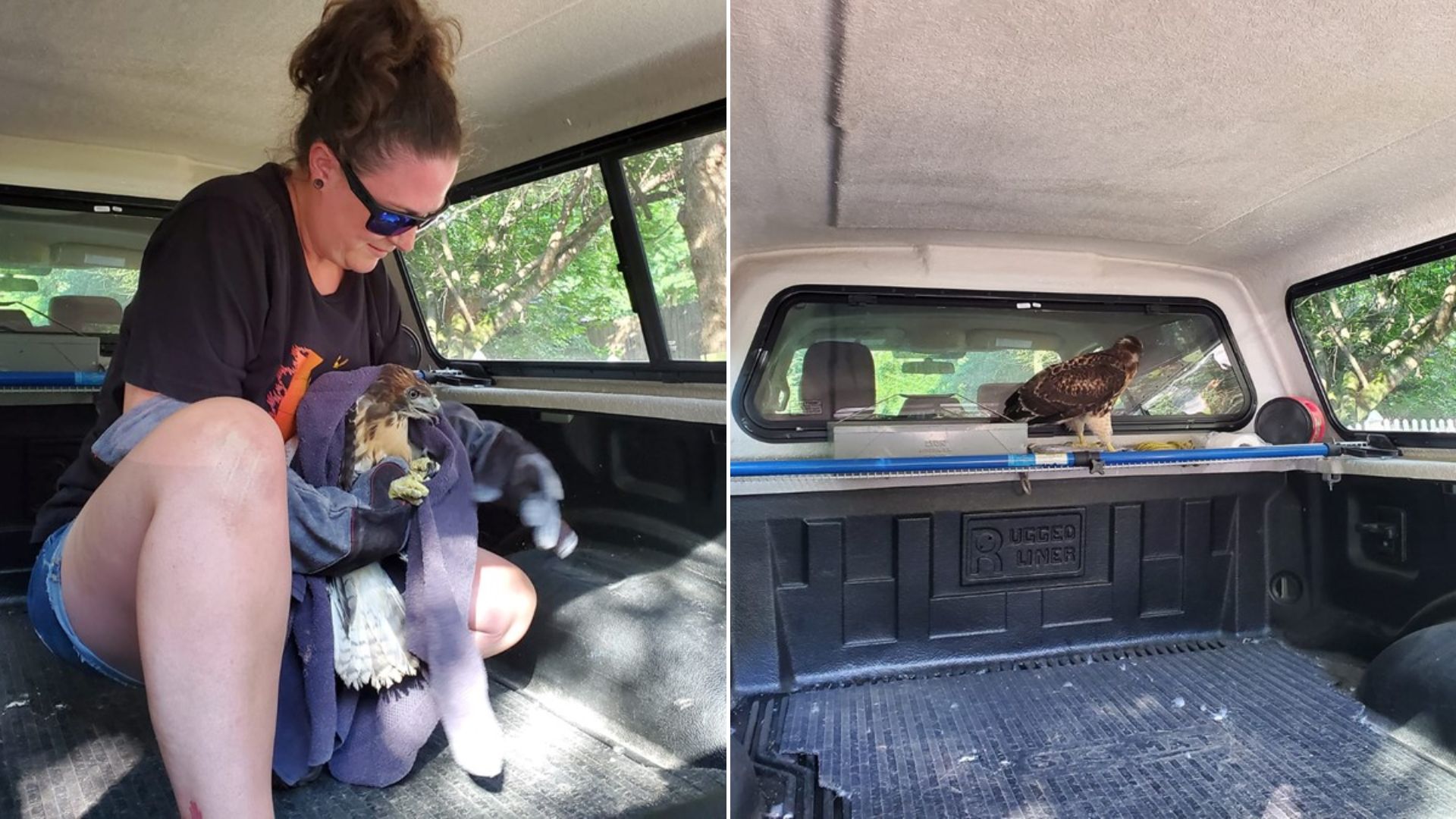 woman and bird in car