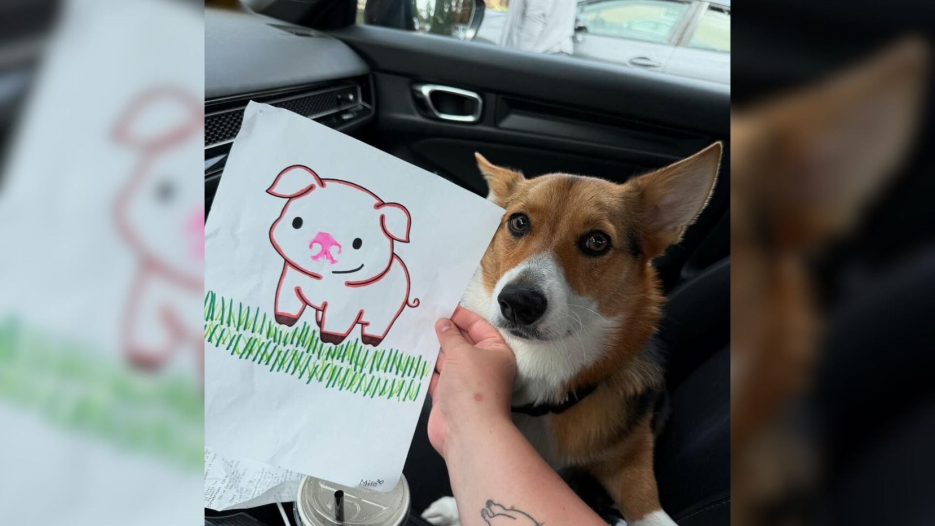 dog with a drawing