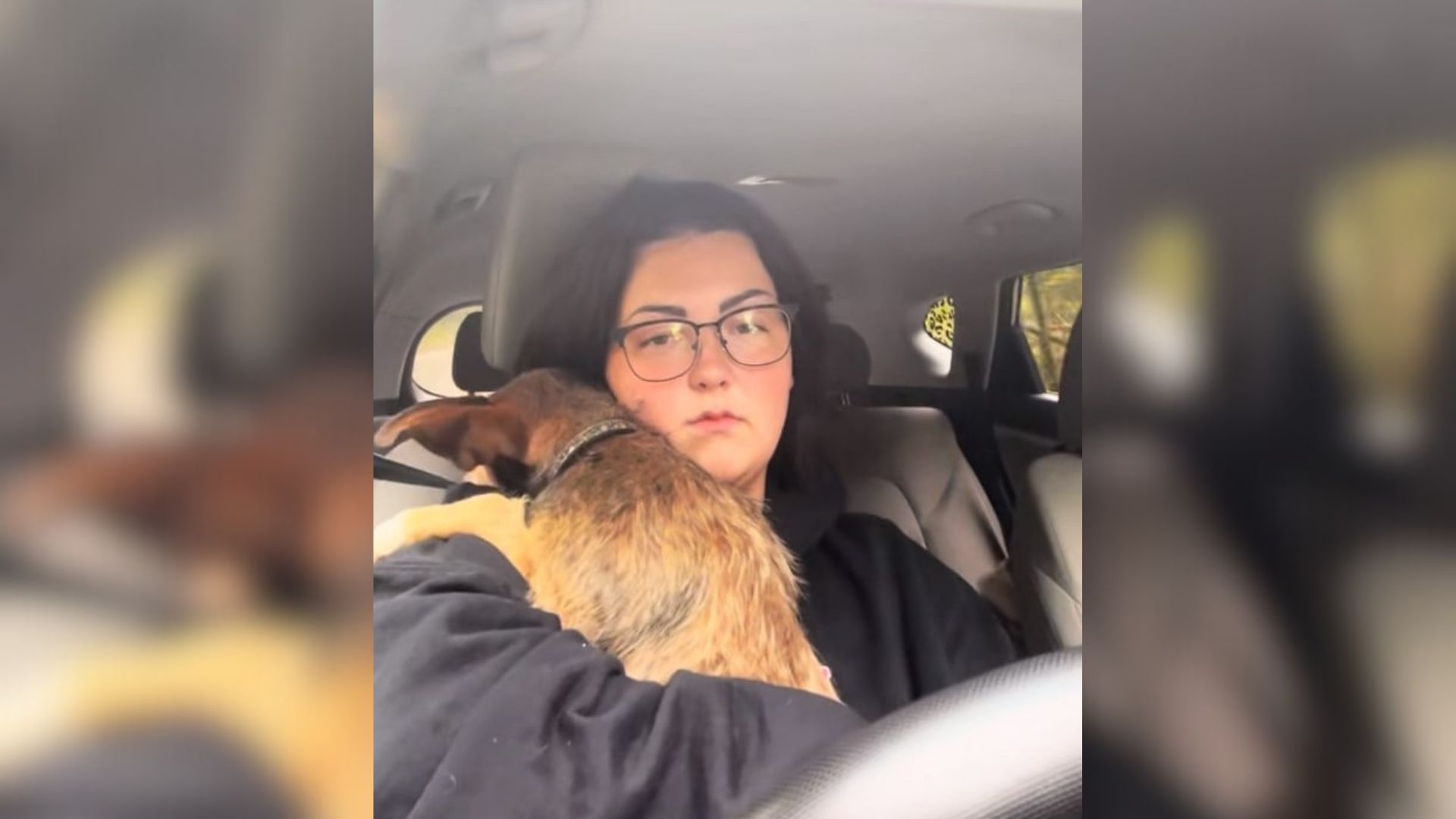 woman and dog in car