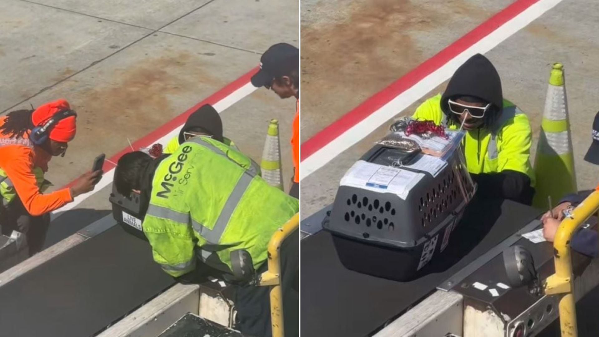 dog and airport workers