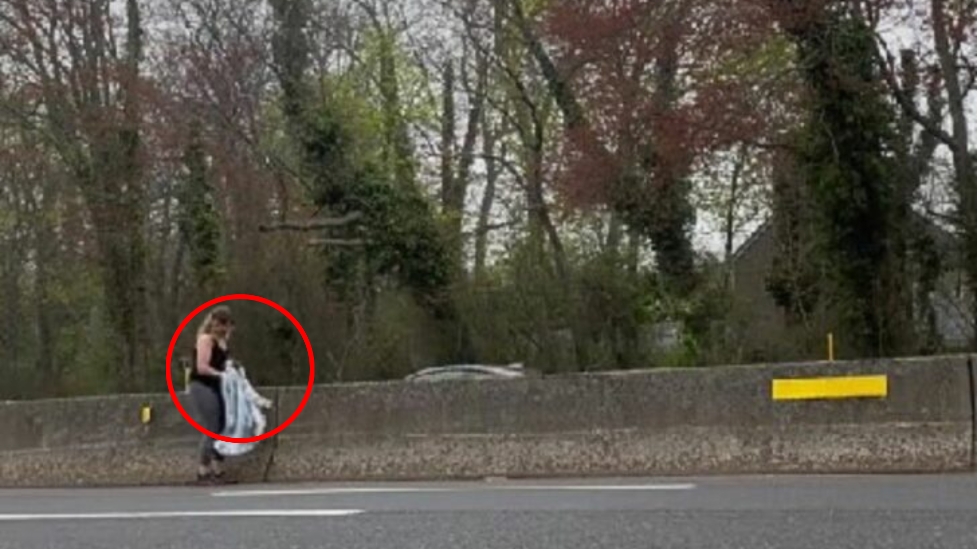 woman rescuing animal