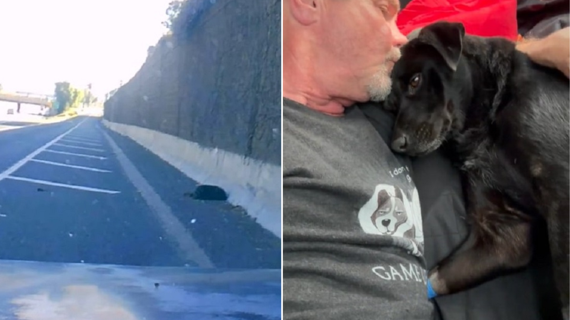 man hugging dog