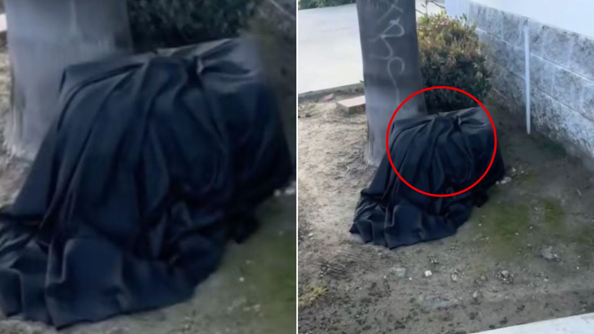 black blanket
