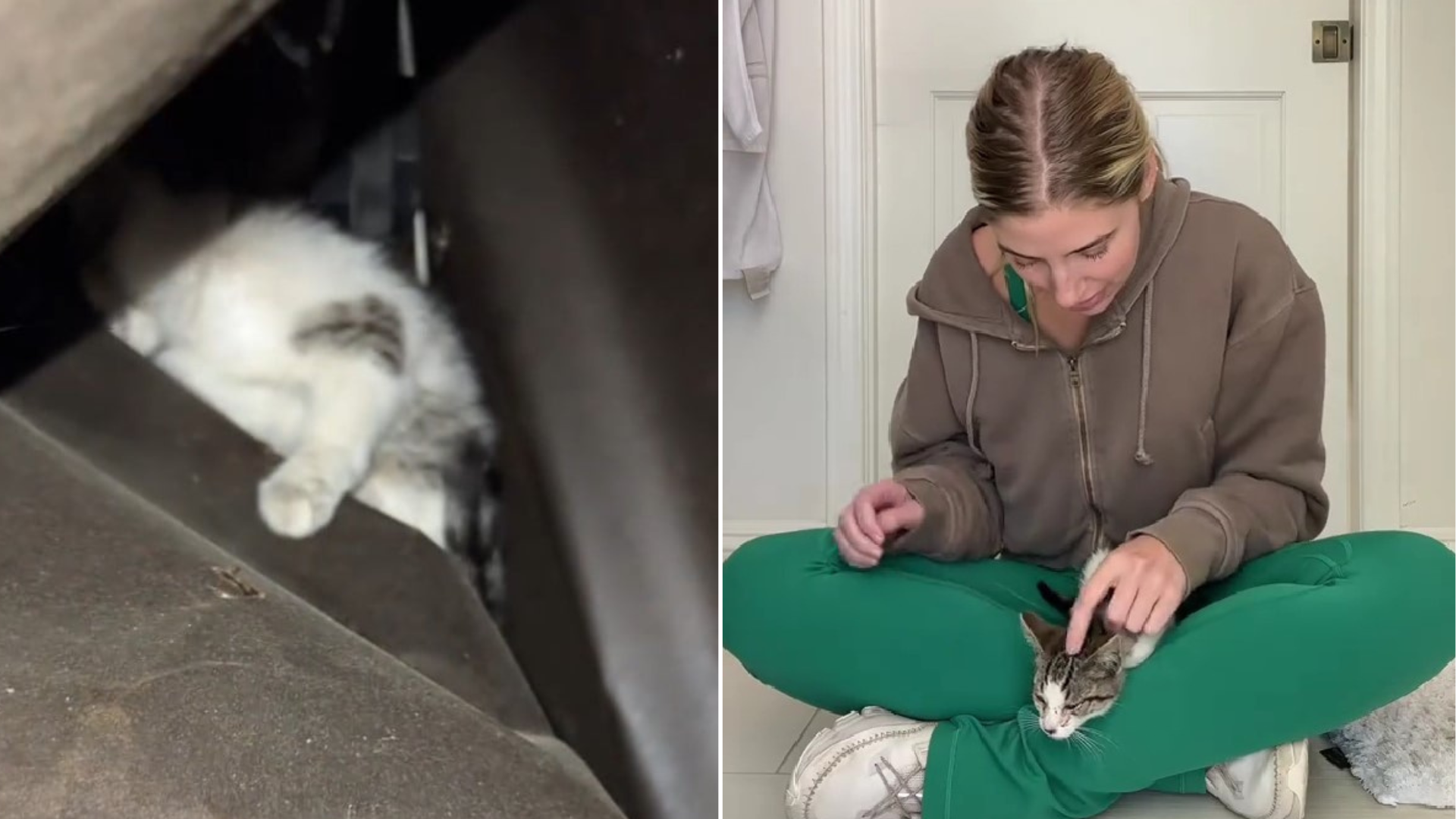 woman petting kitten