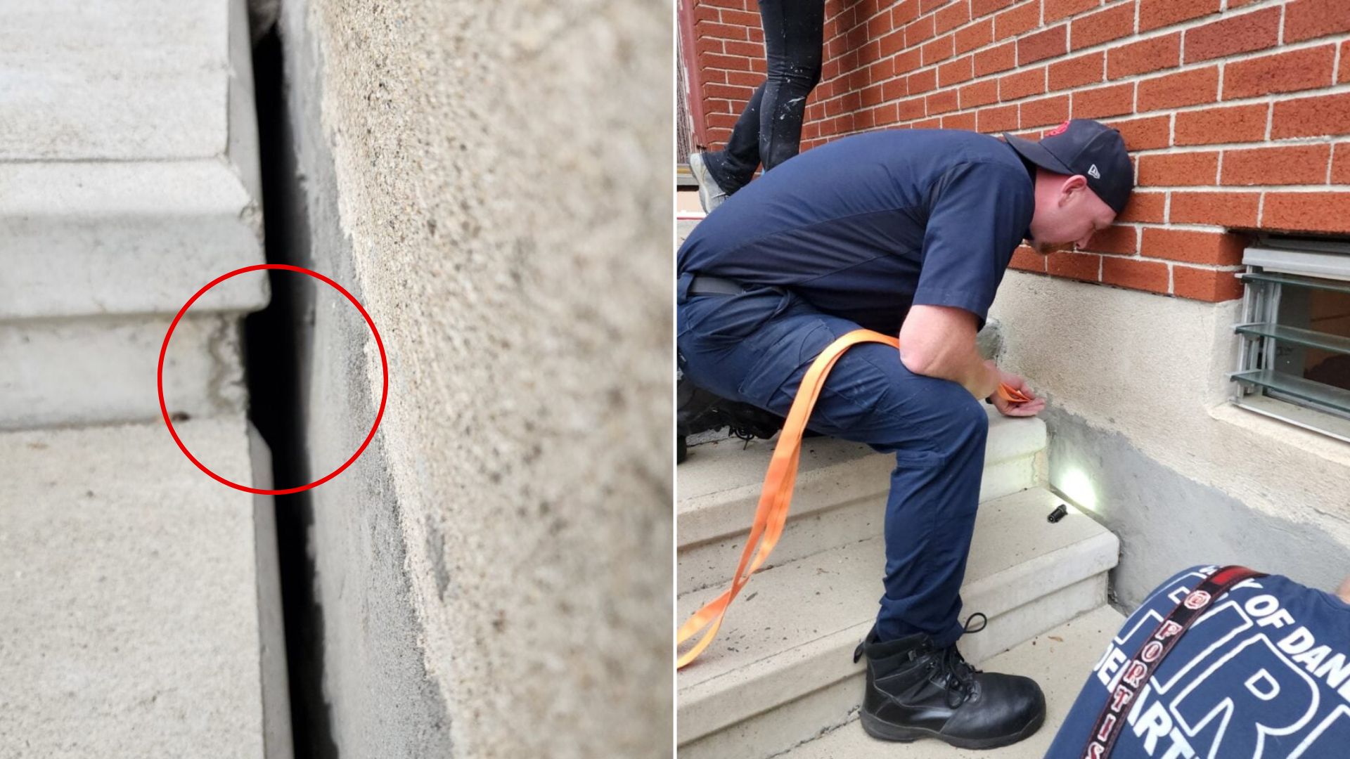 firefighter saving an animal