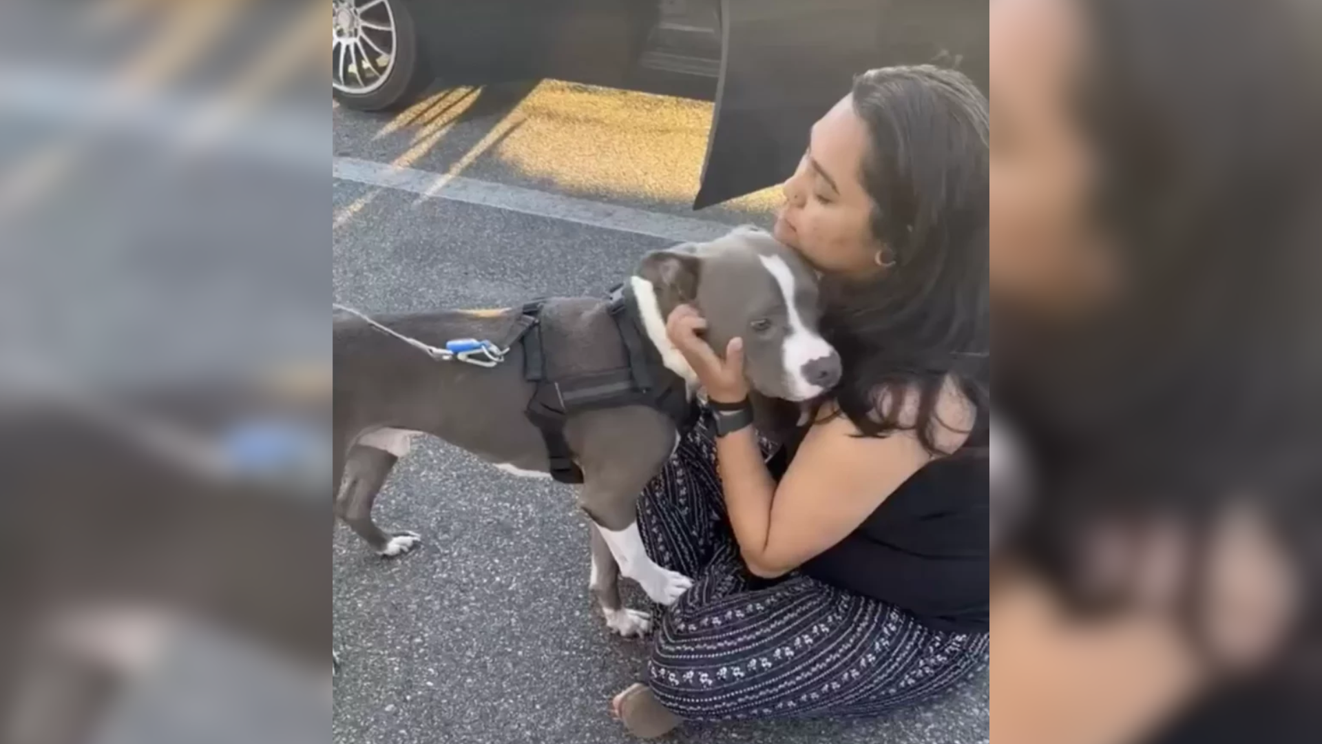 woman hugging dog