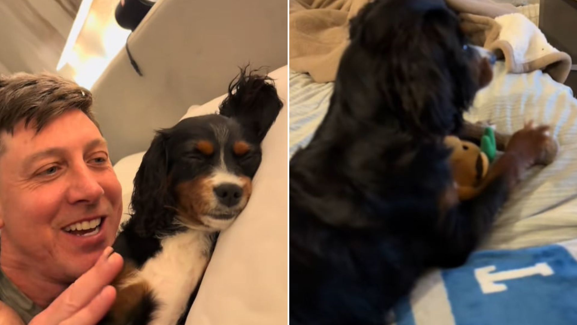 man and his dog
