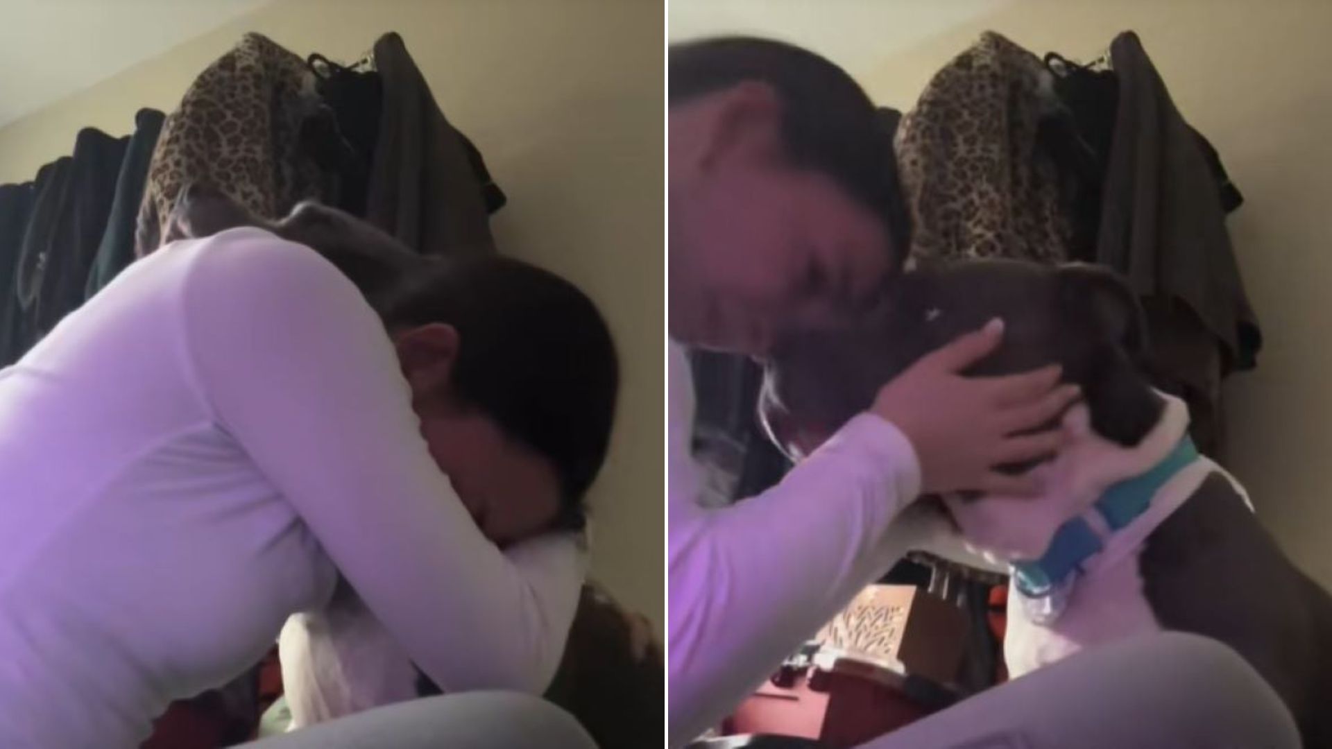 woman hugging a dog