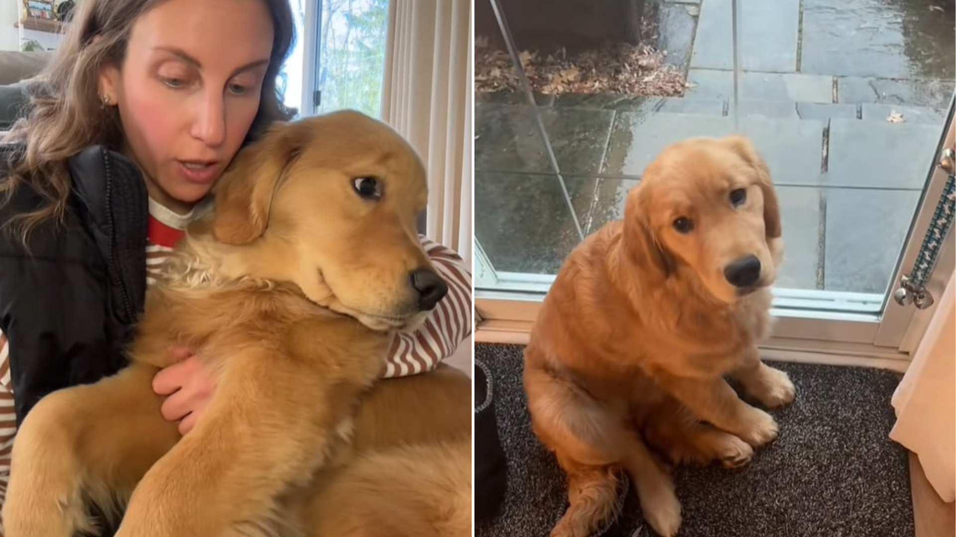 woman holding golden retriever puppy