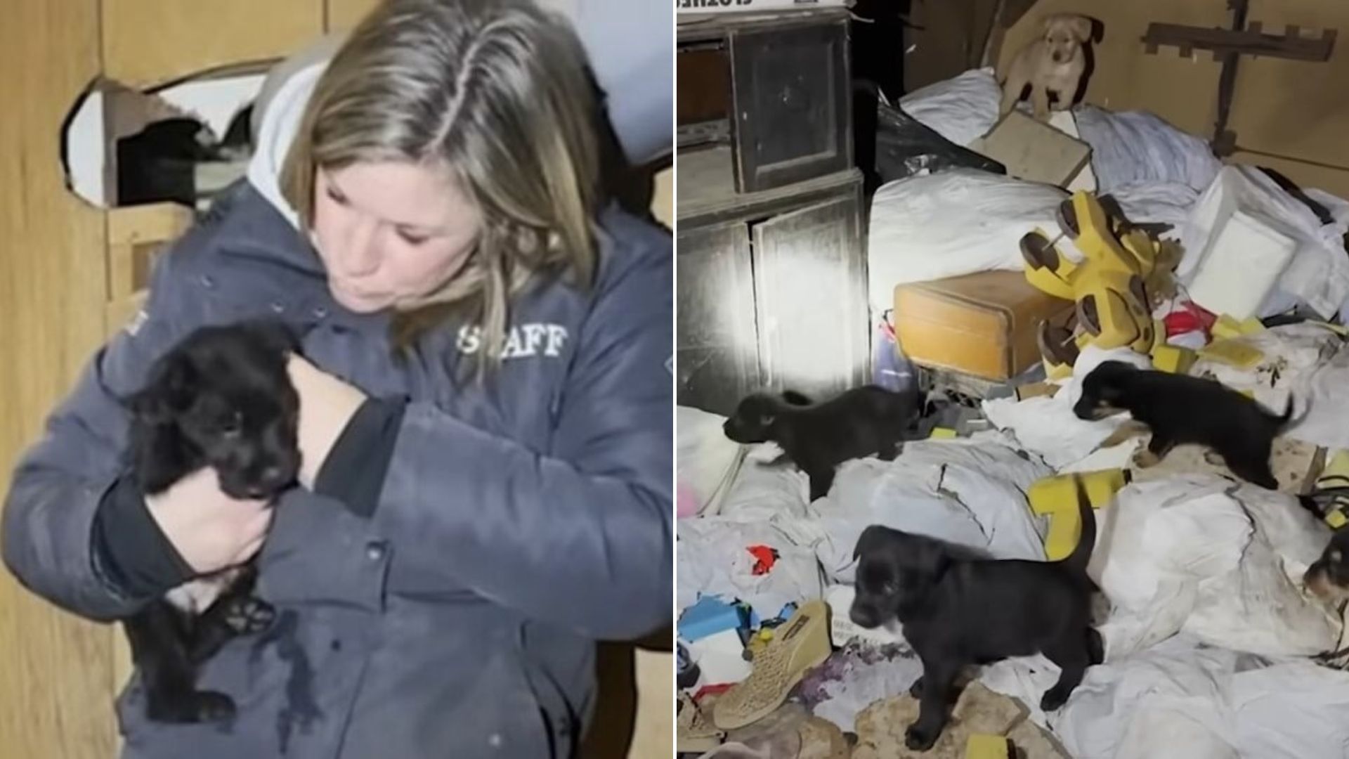 woman holding an abandoned dog