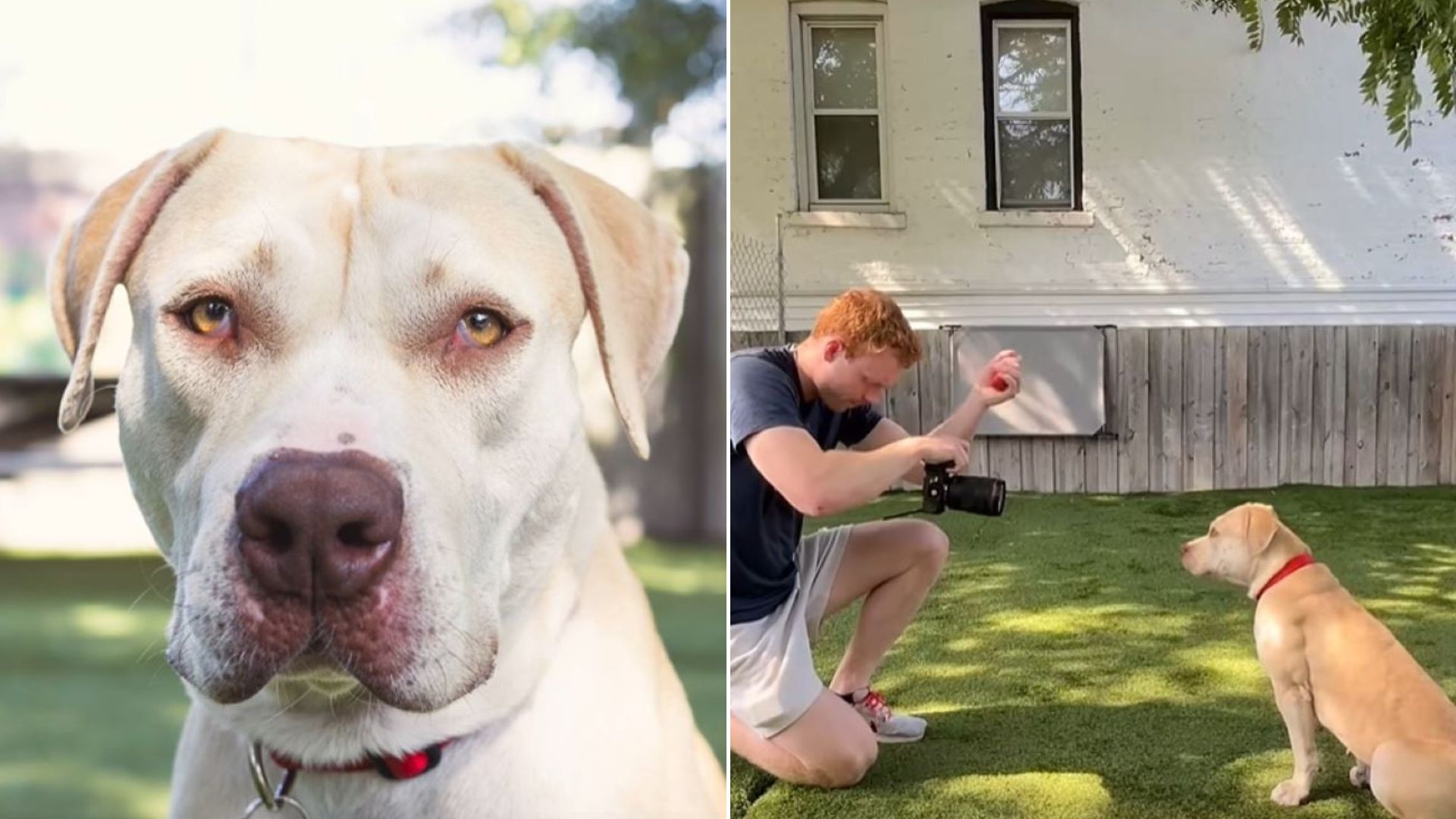 man taking a photo of dog