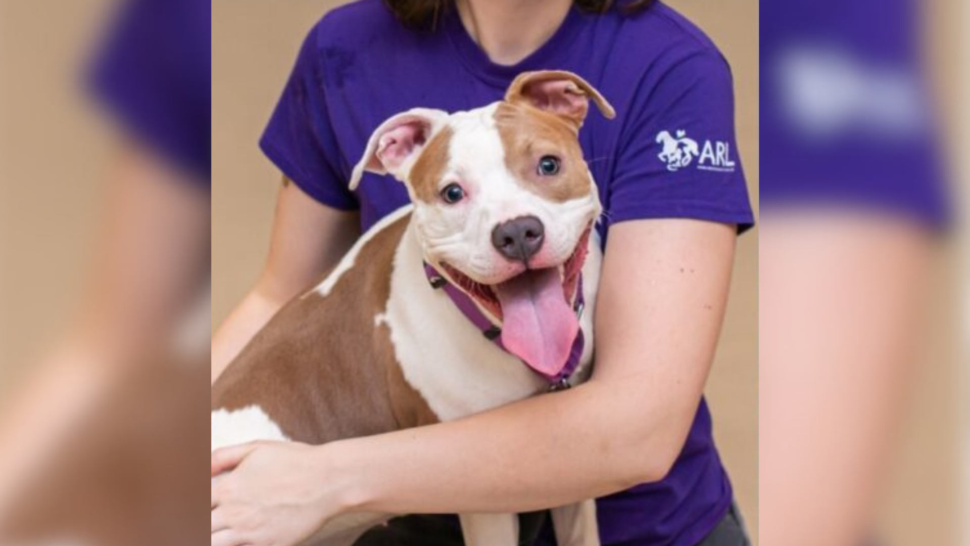 person hugging smiling dog