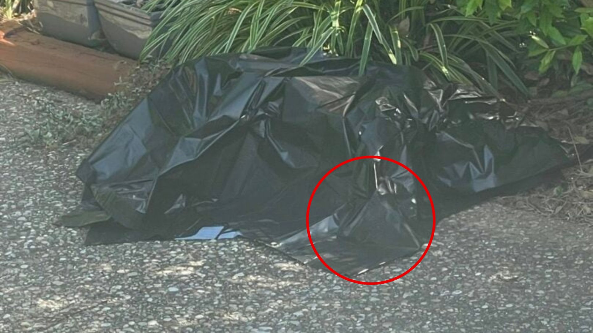 plastic bag on ground