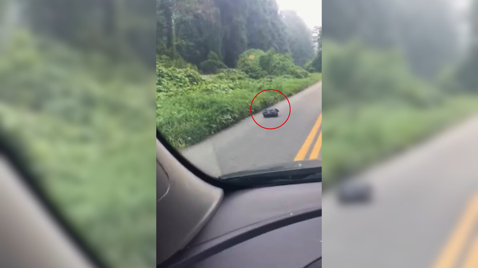 mysterious bag on road