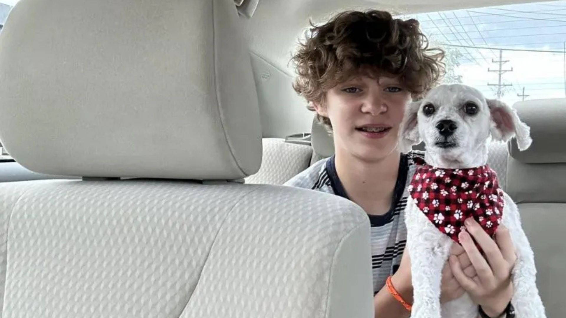 kid and dog in car