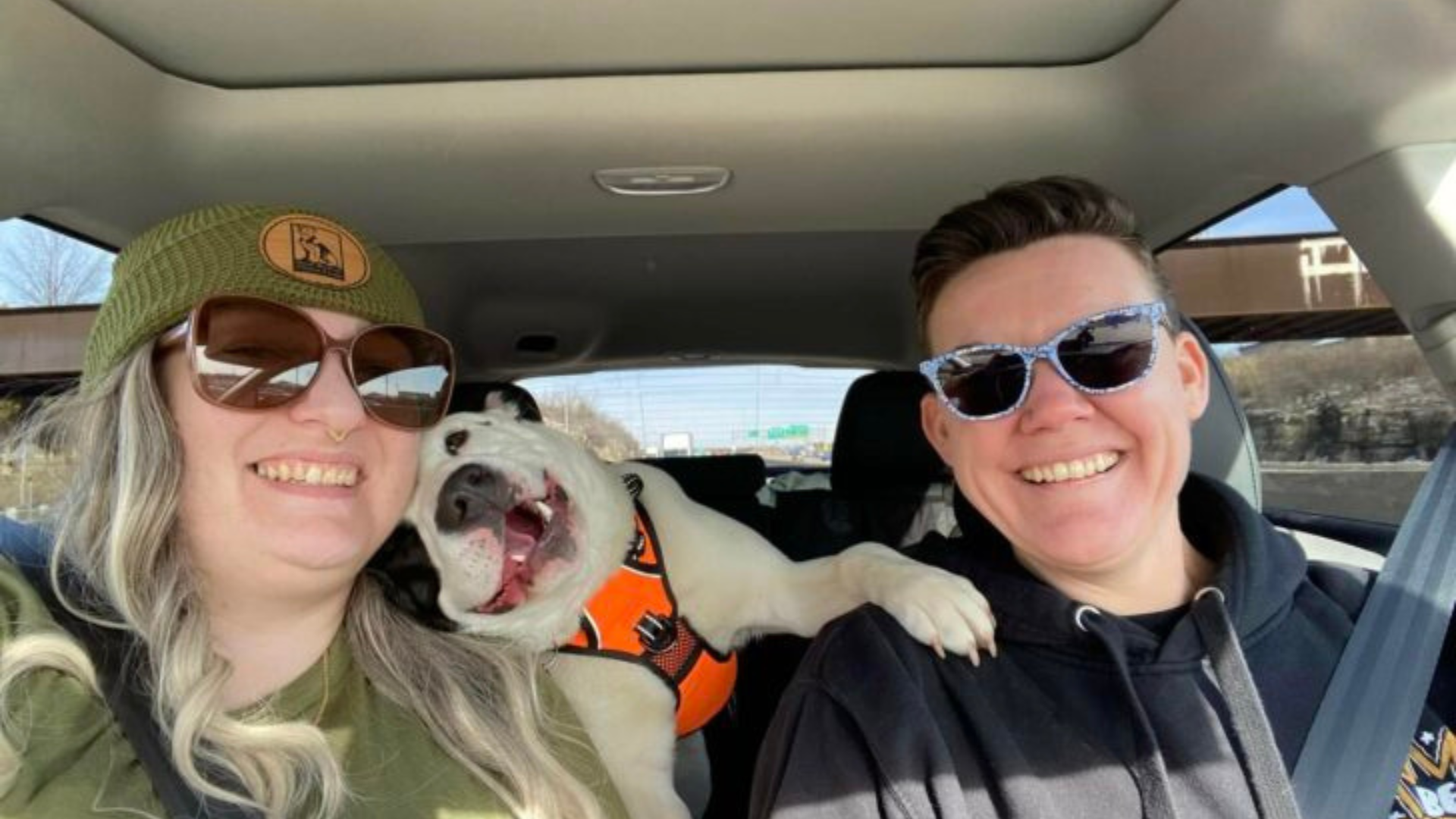 smiling dog in car with people