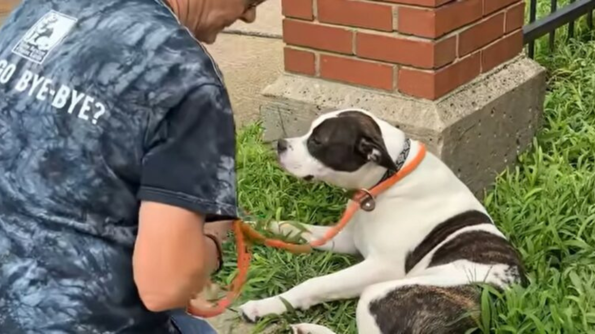 woman and dog with orange leash