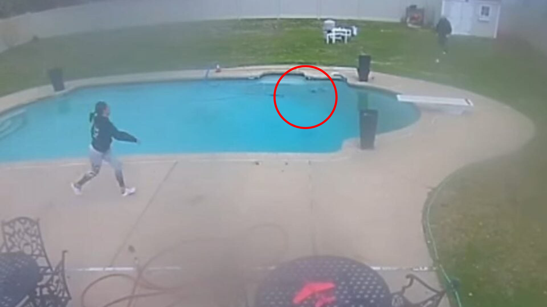 dog jumping in pool