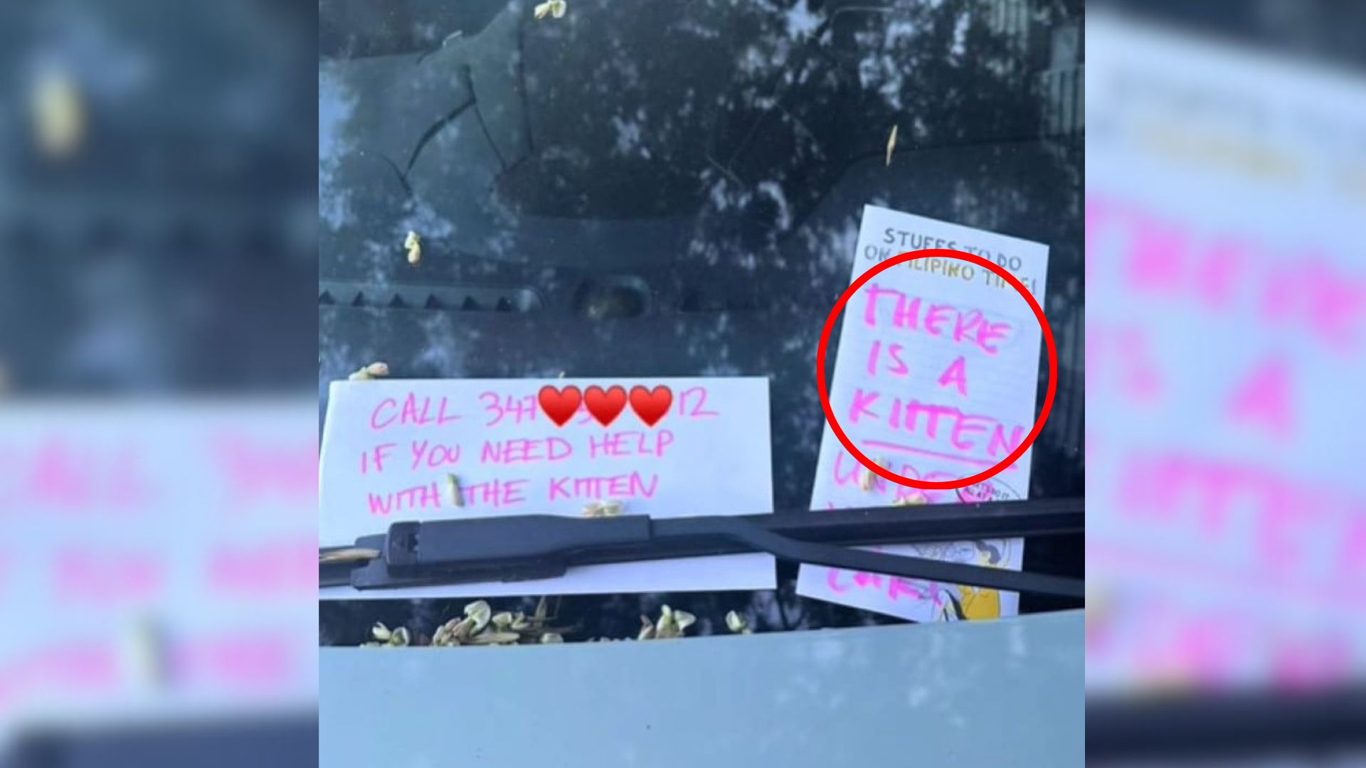 note on car