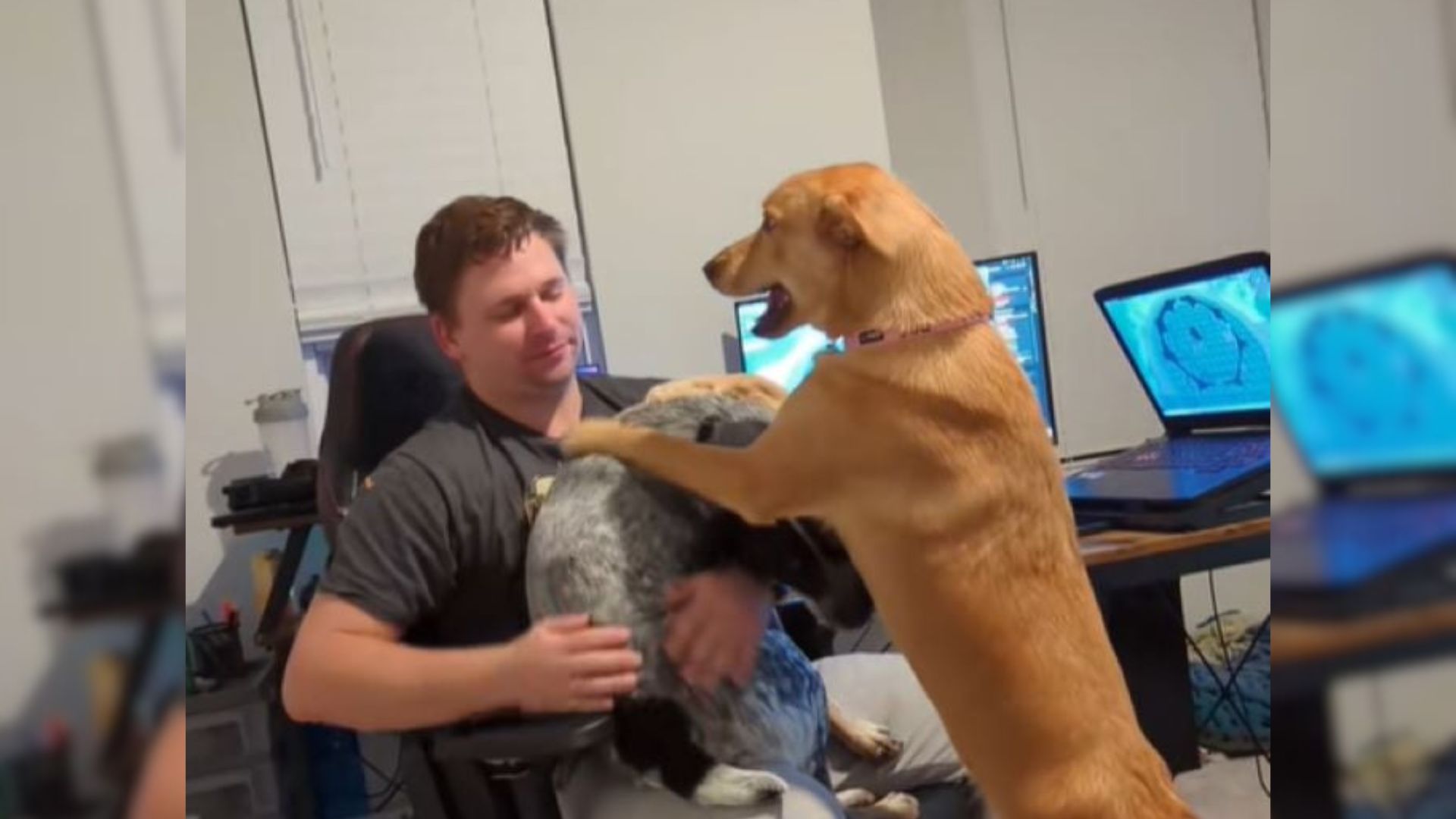 man and dog