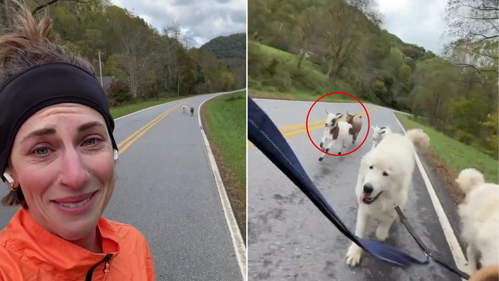 woman and animals running